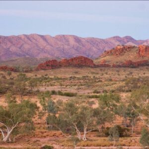 5-Day Outback Camping Adventure