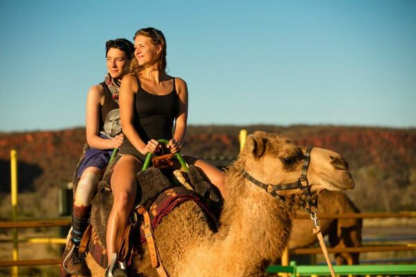 5-Day Red Centre Kangaroo Safari Tour